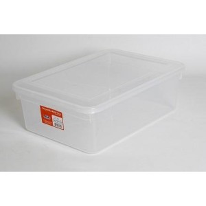 CAIXA PLÁSTICA 316 C/ TAMPA 10 LTS